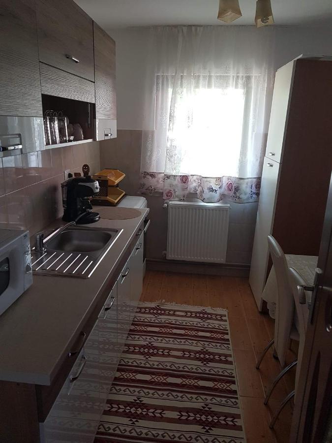 Casa Alma Hotell Borşa Eksteriør bilde