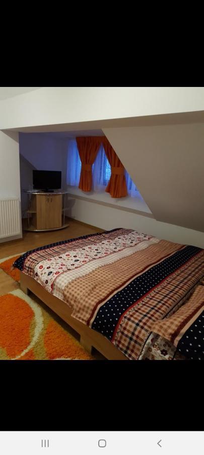 Casa Alma Hotell Borşa Eksteriør bilde