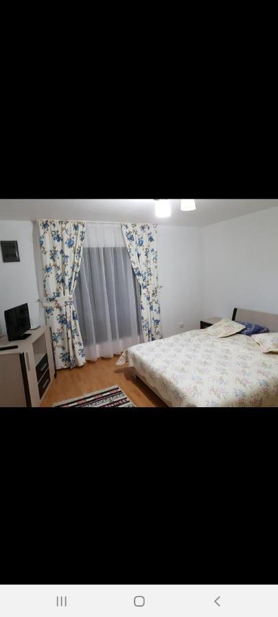 Casa Alma Hotell Borşa Eksteriør bilde