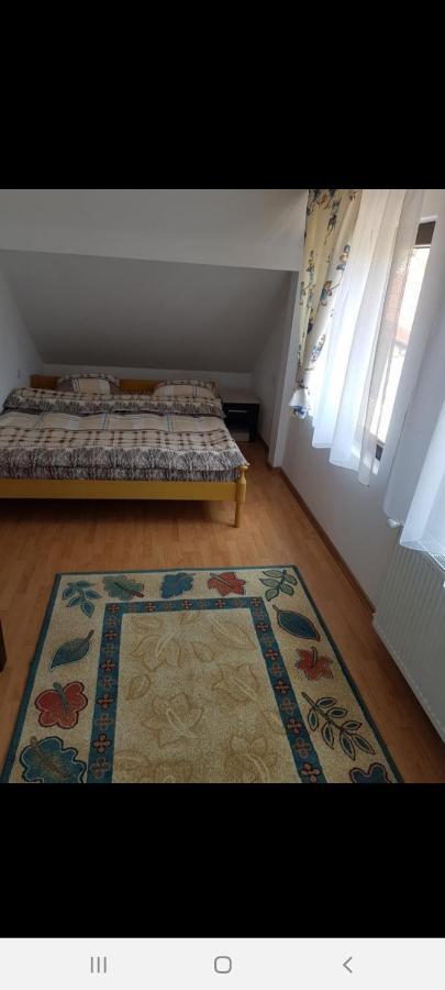 Casa Alma Hotell Borşa Eksteriør bilde