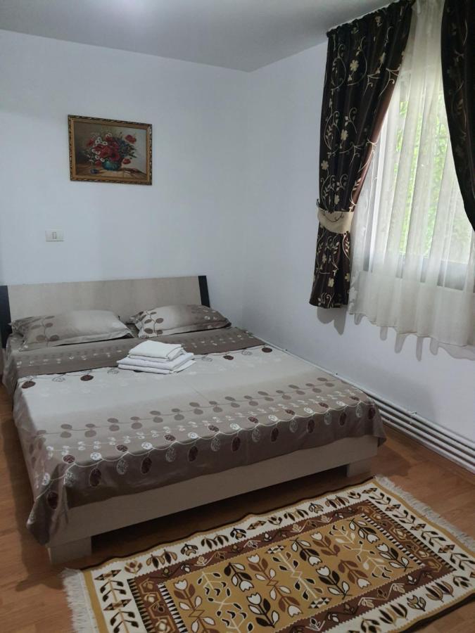 Casa Alma Hotell Borşa Eksteriør bilde