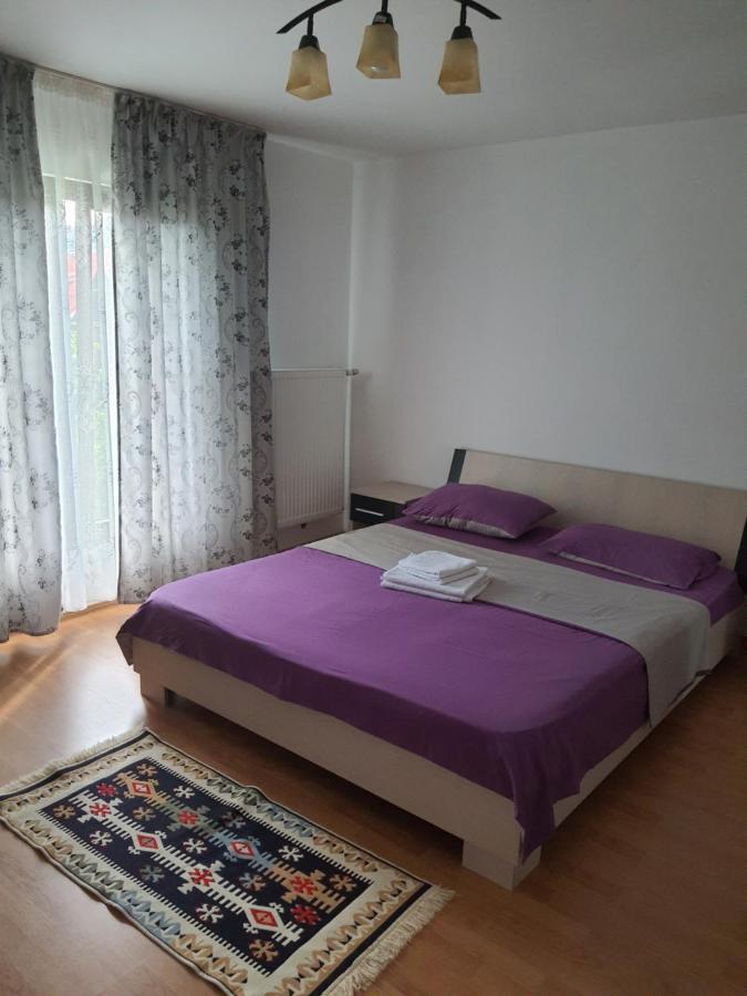 Casa Alma Hotell Borşa Eksteriør bilde
