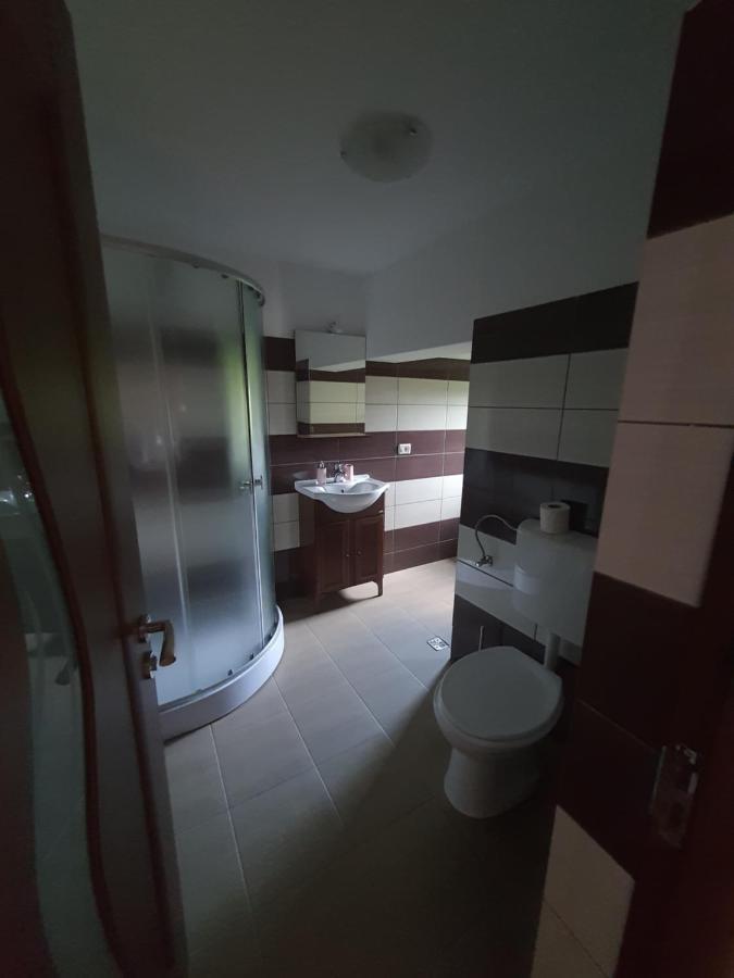 Casa Alma Hotell Borşa Eksteriør bilde