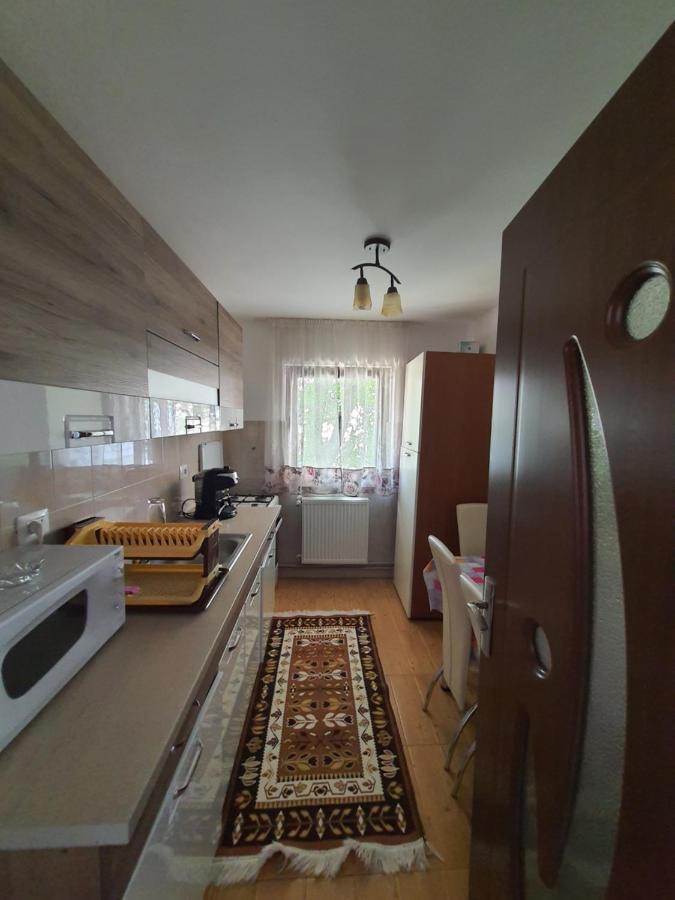 Casa Alma Hotell Borşa Eksteriør bilde